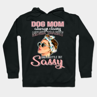 Dog mom Always Classy Never Trashy Awesome Hoodie